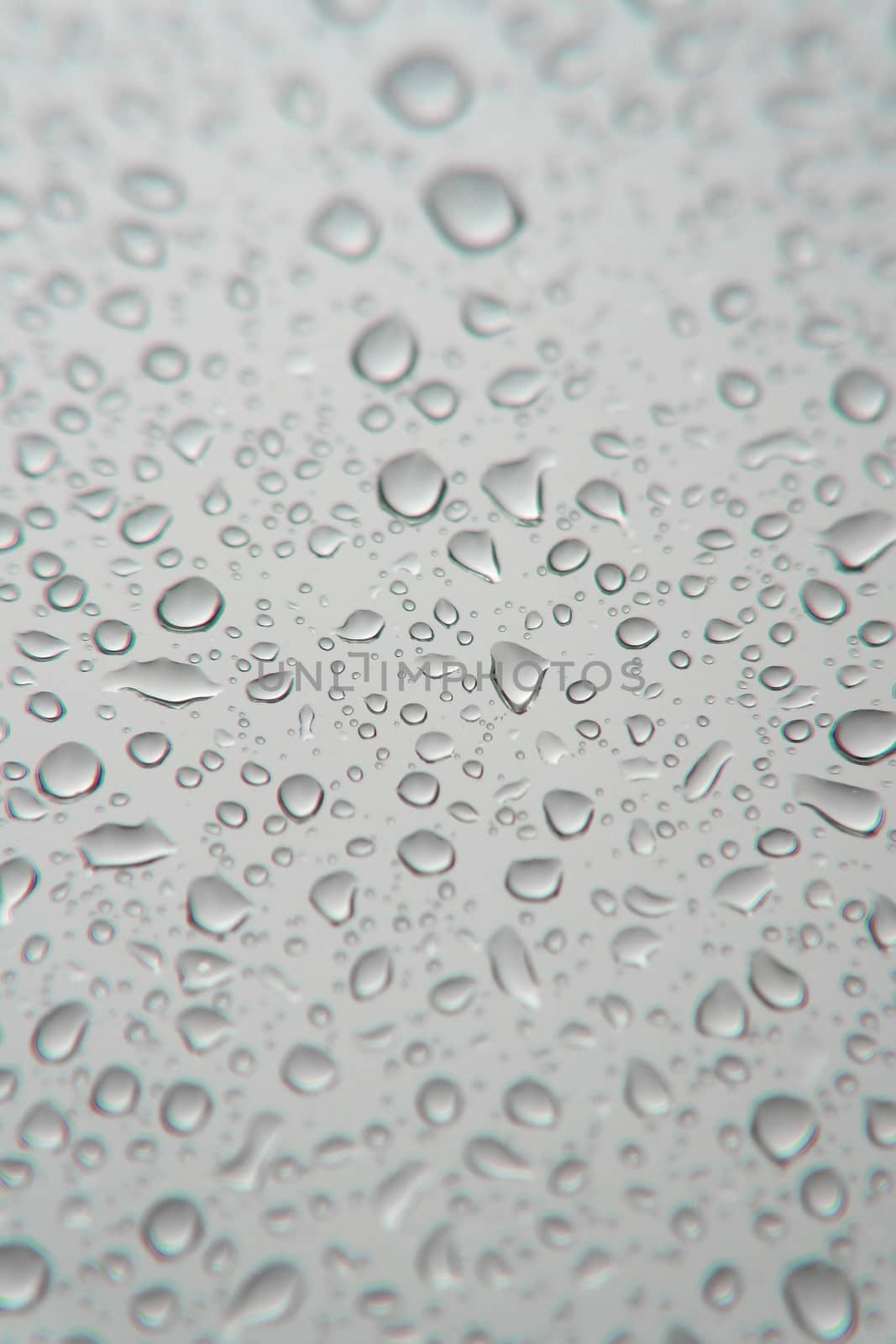 Drops of rain on the window, shallow dof