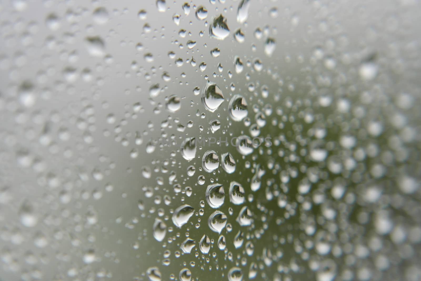 Drops of rain on the window, shallow dof