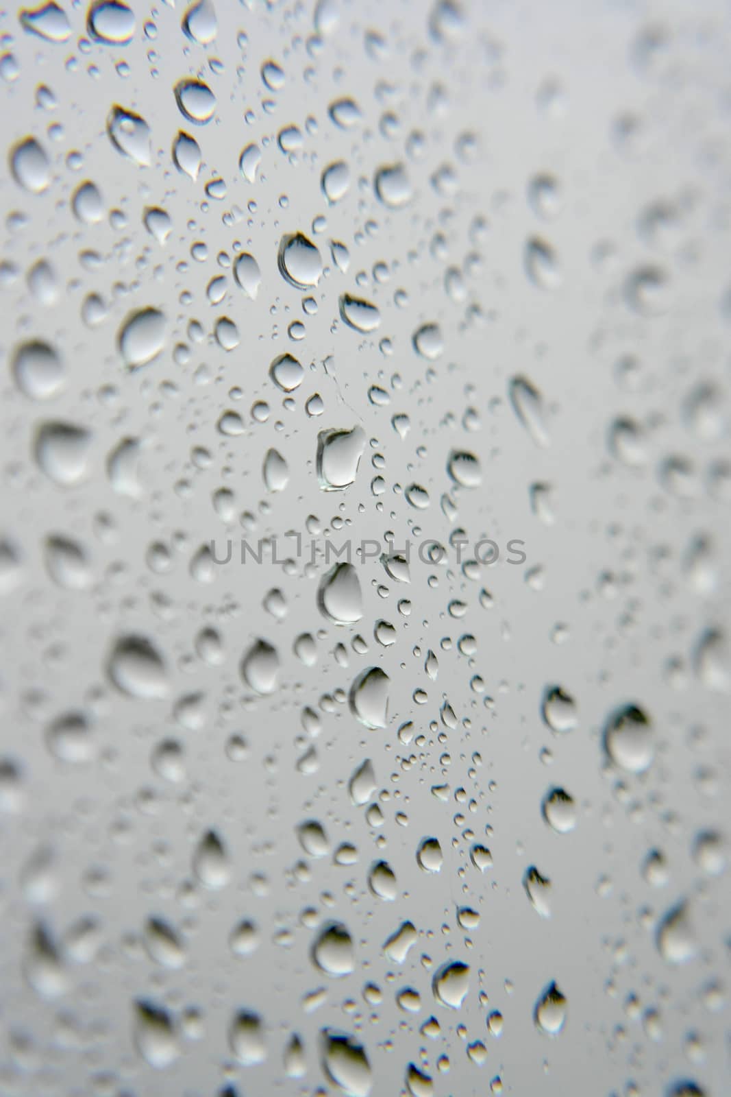 Drops of rain on the window, shallow dof