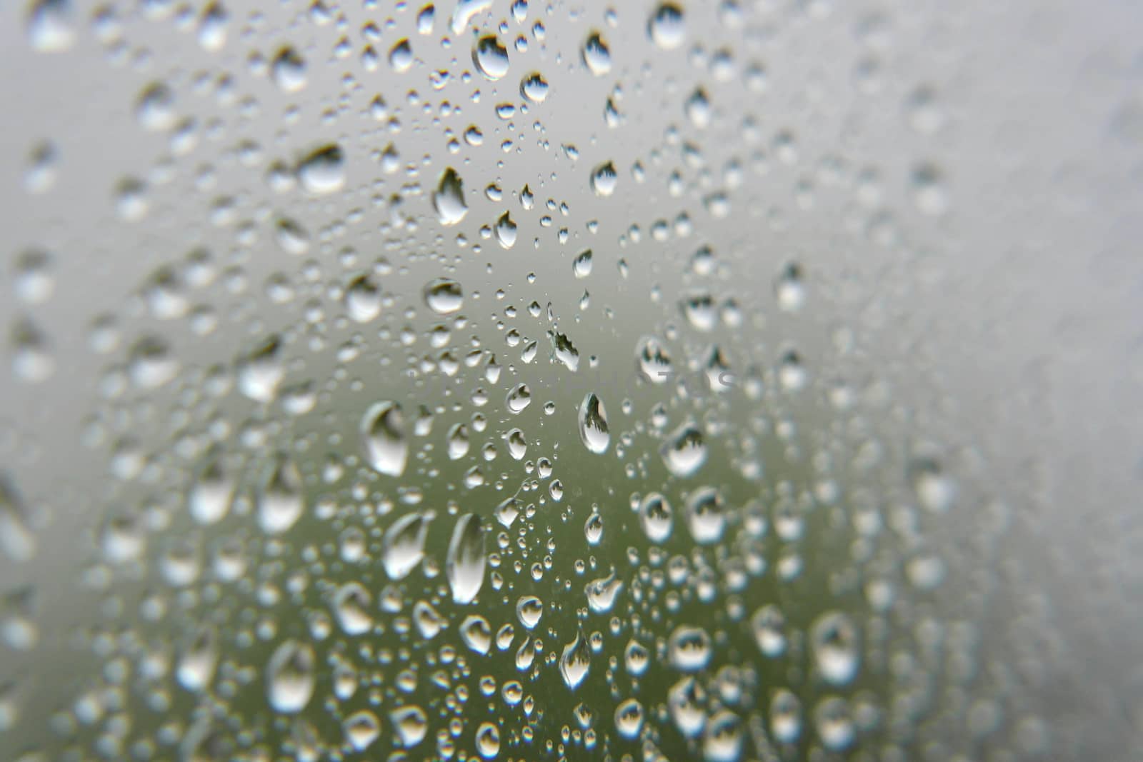 Drops of rain on the window, shallow dof