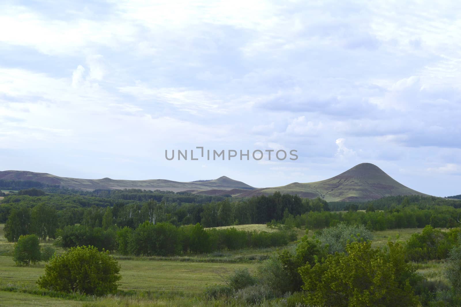 Summer landscape with mountains and forest