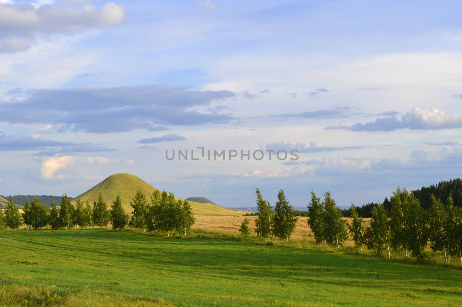 Summer landscape with mountain by sergpet