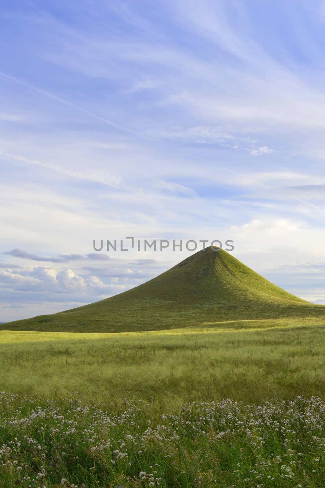 Summer landscape by sergpet