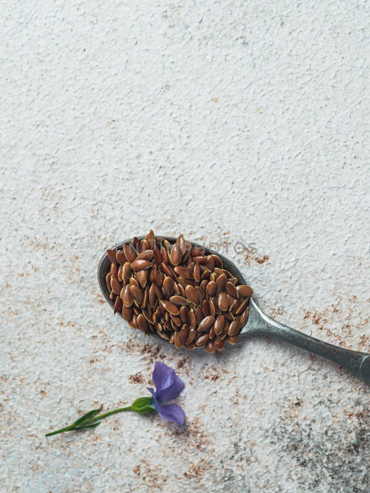 Flax seeds and flaxseed flower. Brown linen seeds in spoon on old white and gray textured background. Copy space top. Top view or flat lay. Vertical.