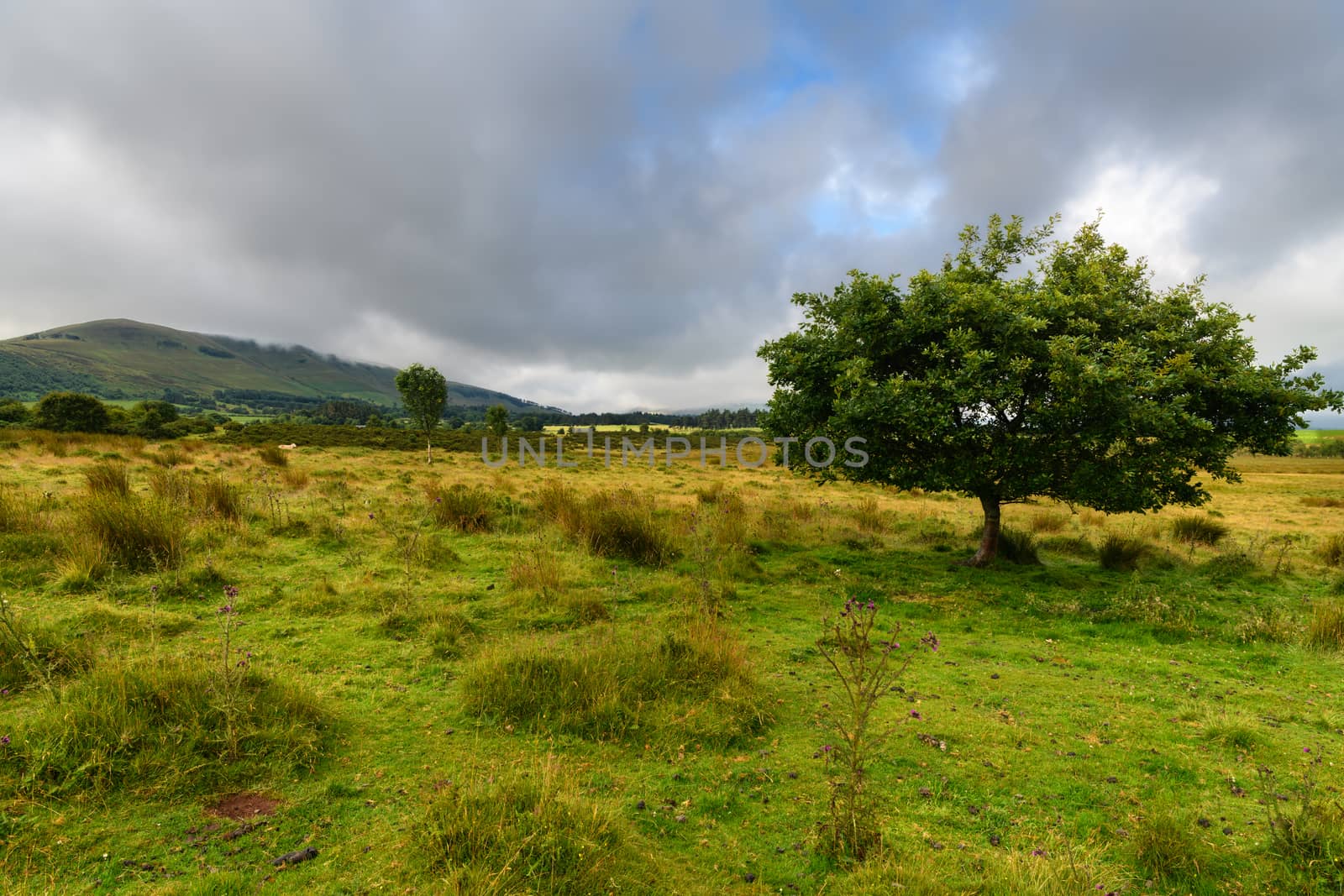 Brecon Beacons National Park Landscape