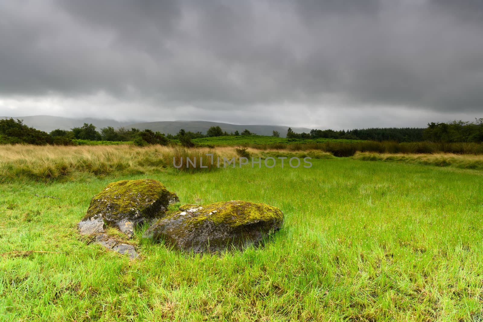 Brecon Beacons National Park Landscape