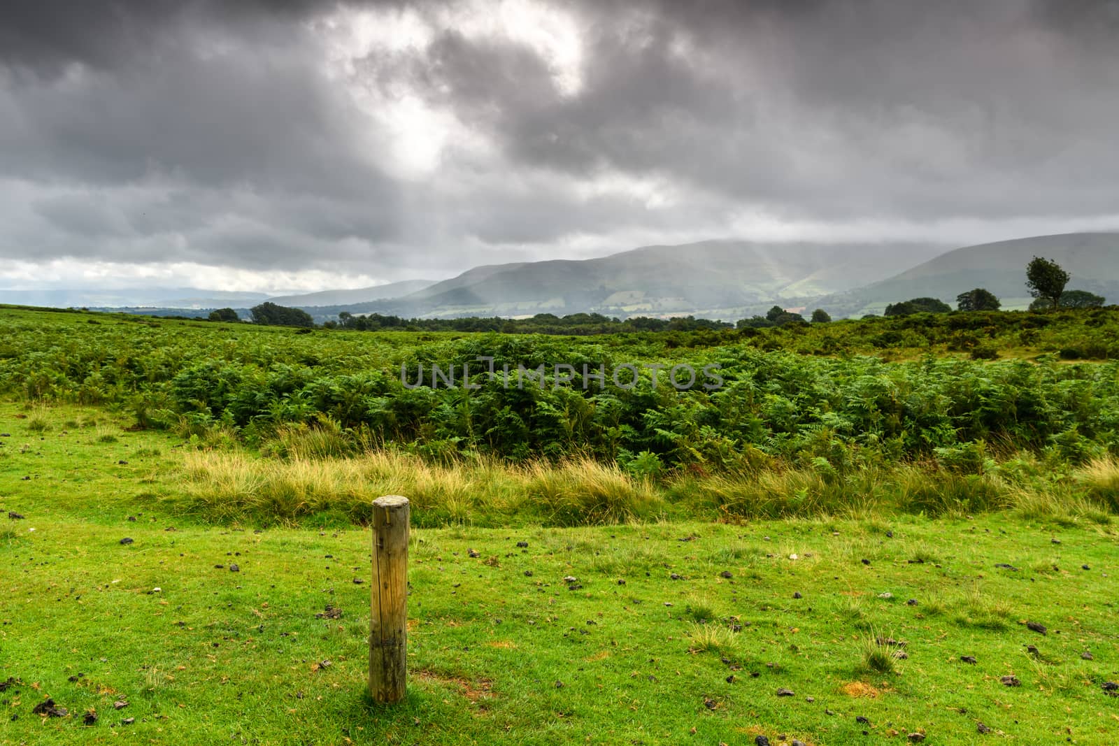 Brecon Beacons National Park Landscape