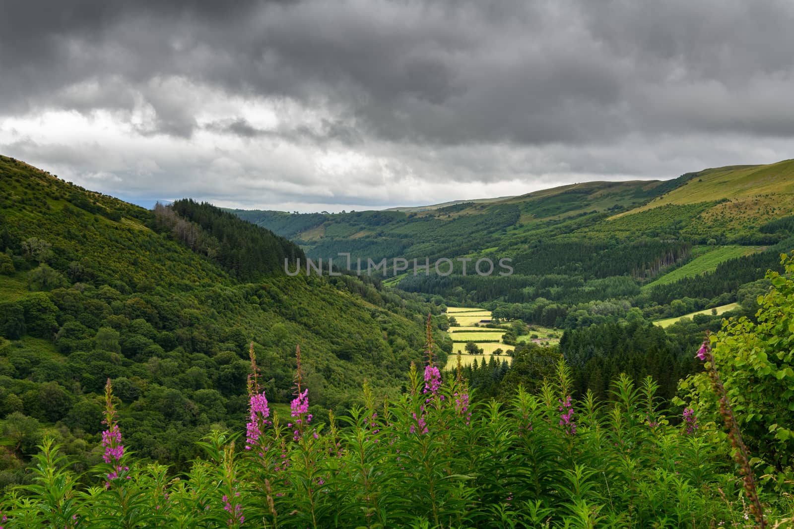 Brecon Beacons Landscape by andyperiam