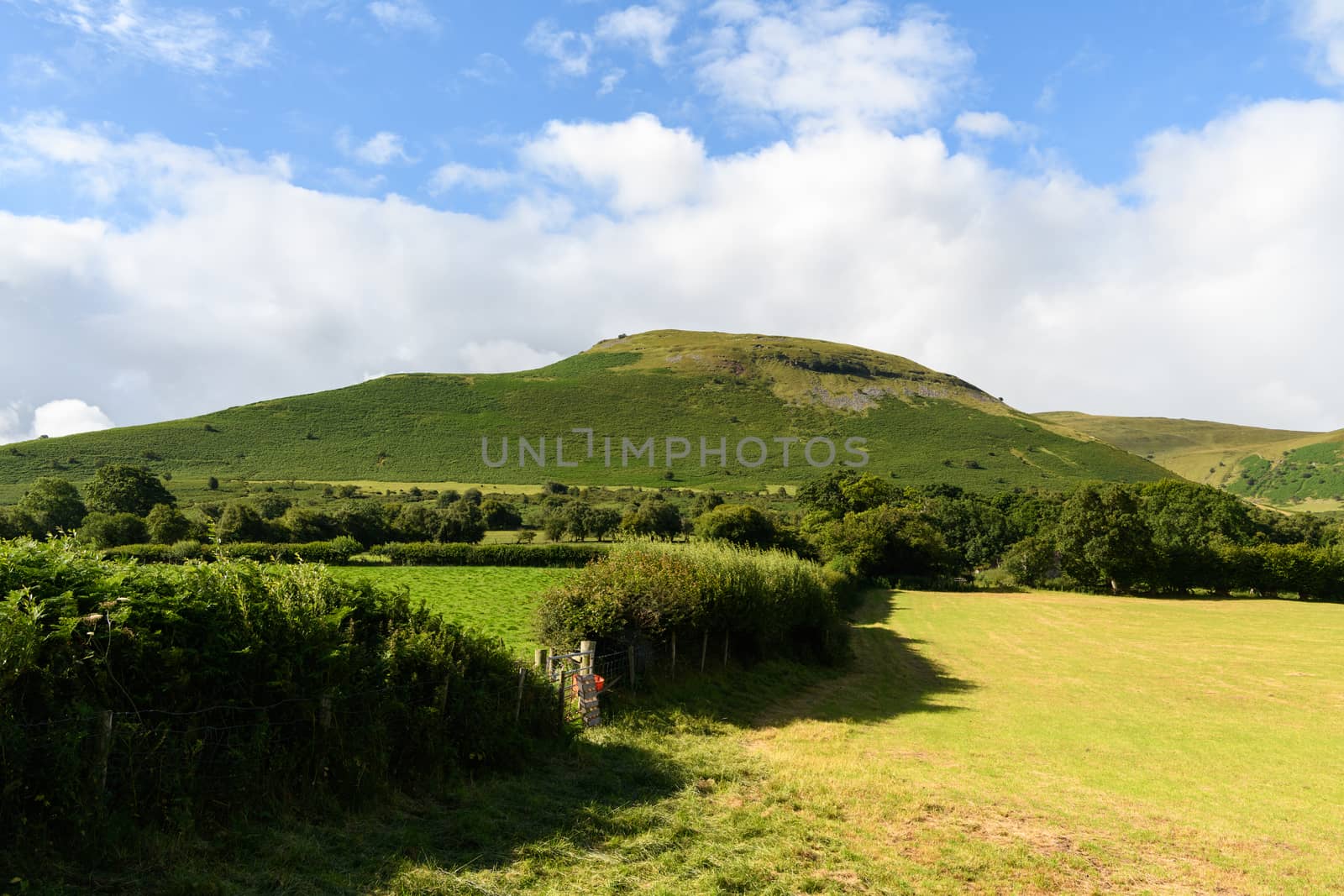 Brecon Beacons Landscape by andyperiam