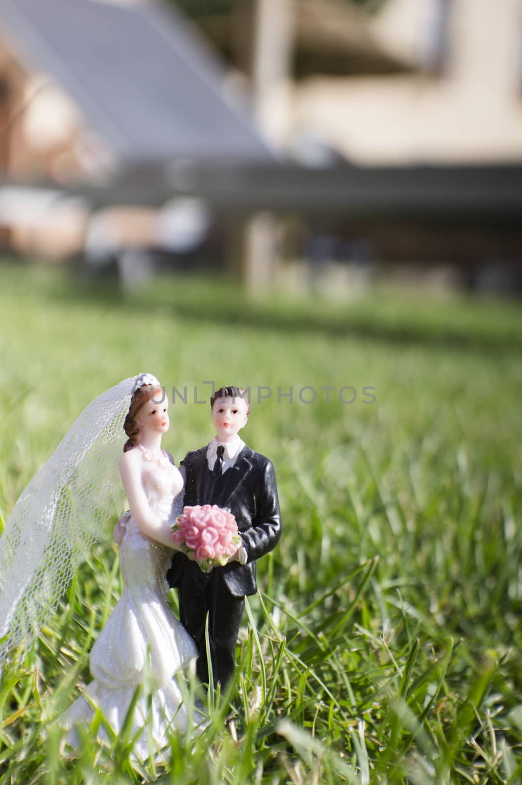 Standard figure of wedding couple on natural grass in the field. Out door