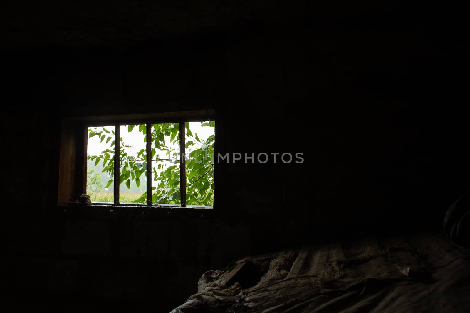 Light enters a dark barn through a small window in which a green tree is visible
