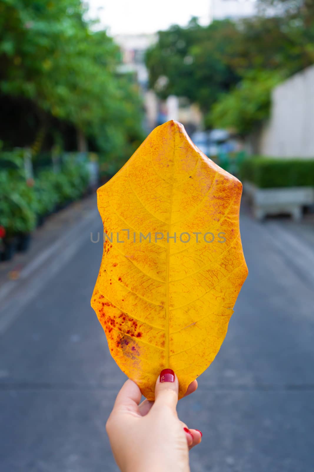 The girl holds in her hand a large yellow sheet on the background of the street of Bangkok