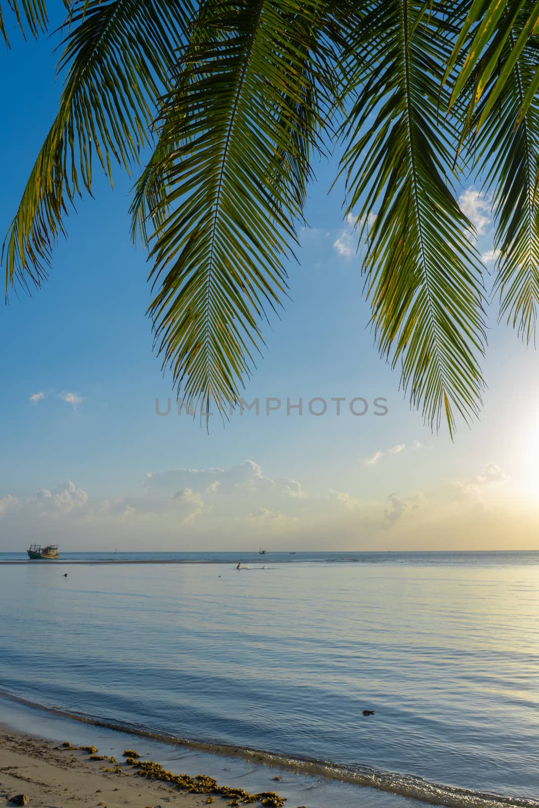 Sunset on a paradise tropical beach with palm trees