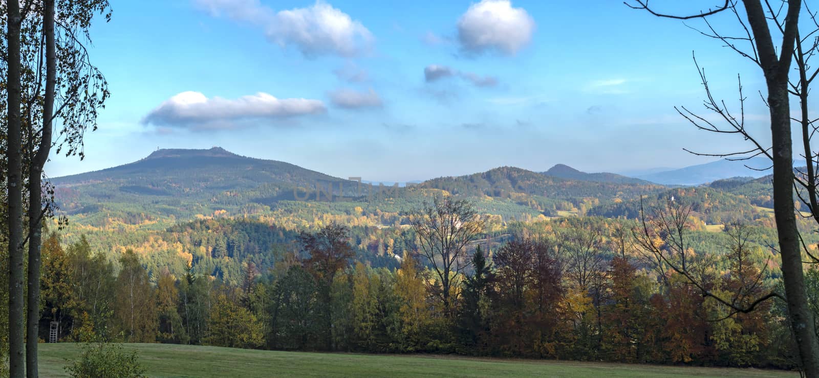 Luzicke hory panorama, meadow with autumn colorful forest and trees and hills with lookout tower on hill Hochwald Hvozd and blue sky landscape in luzicke hory mountain. by Henkeova
