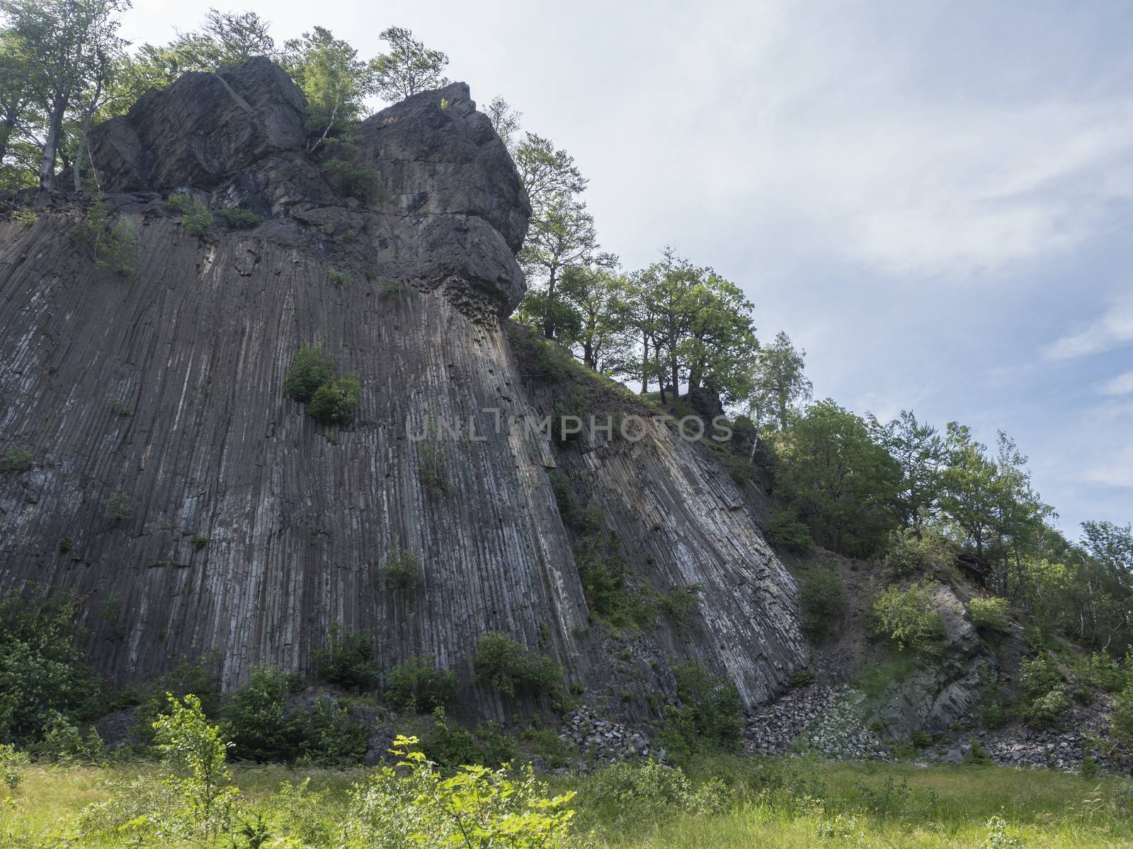 basalt column pillars, lava vulcanic rock formation organ shape national cultural landmark Zlaty vrch, Jetrichovice region, Czech Switzerland, Czech republic.