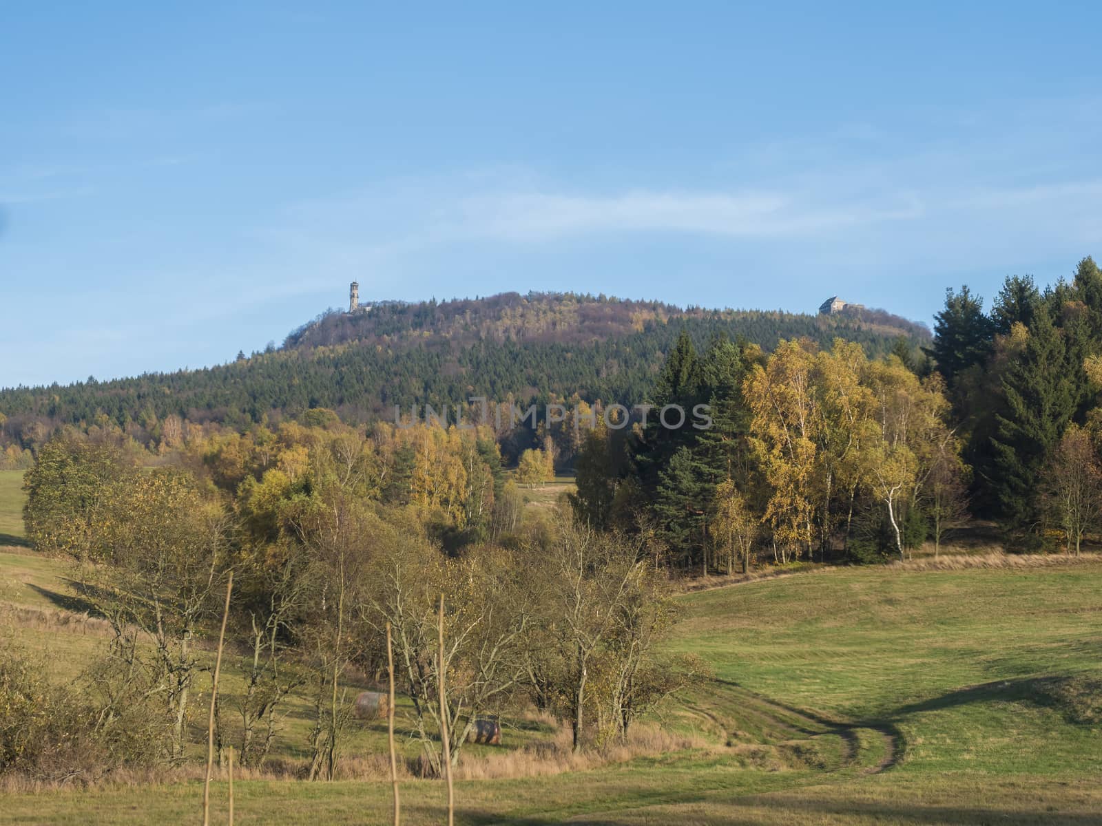 meadow with autumn colorful forest and trees and hills with lookout tower and blue sky landscape in luzicke hory mountain. by Henkeova