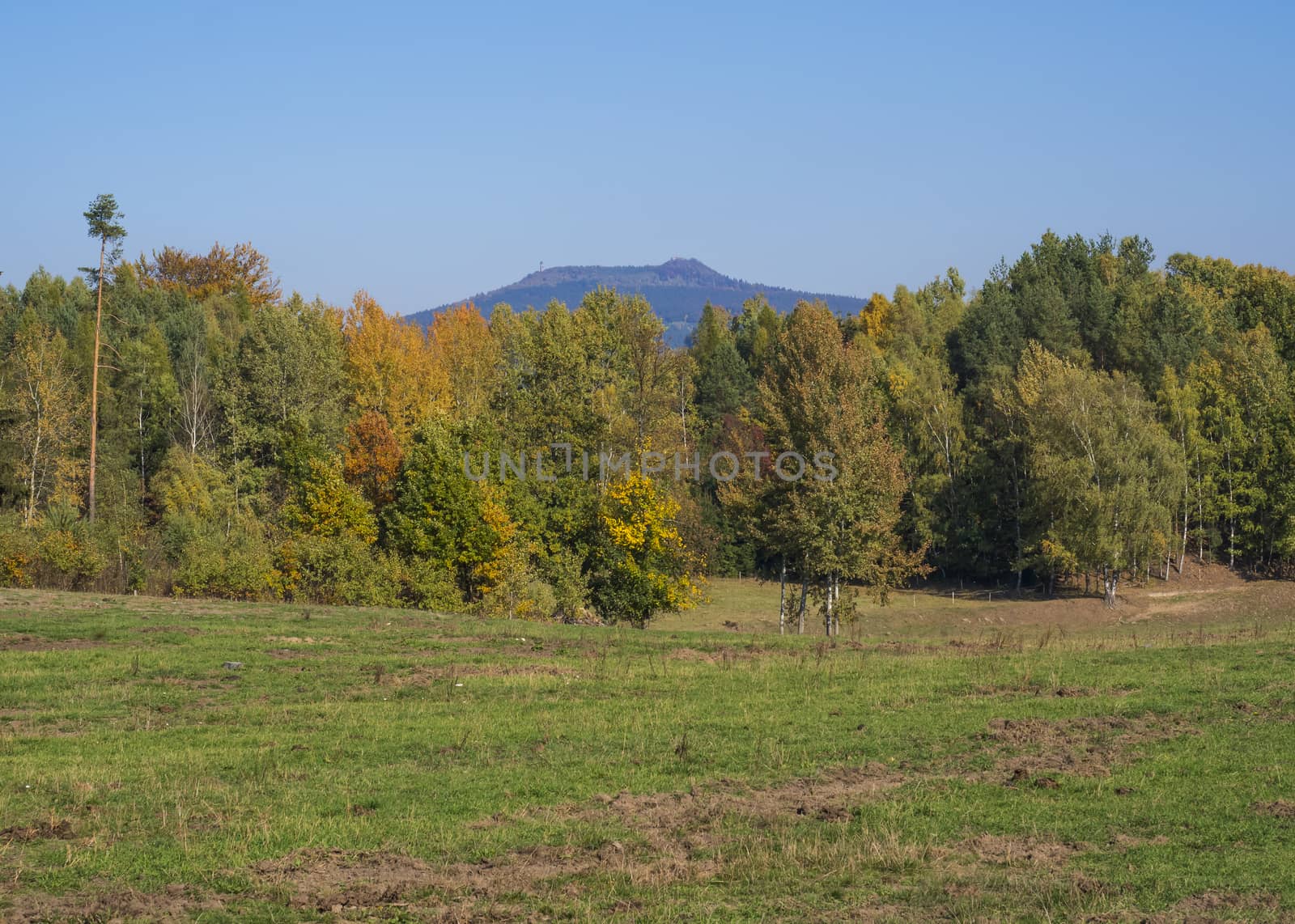 meadow with autumn colorful forest and trees and hills with Hvozd or Hochwald lookout tower and blue sky landscape in luzicke lusitian hory mountain.