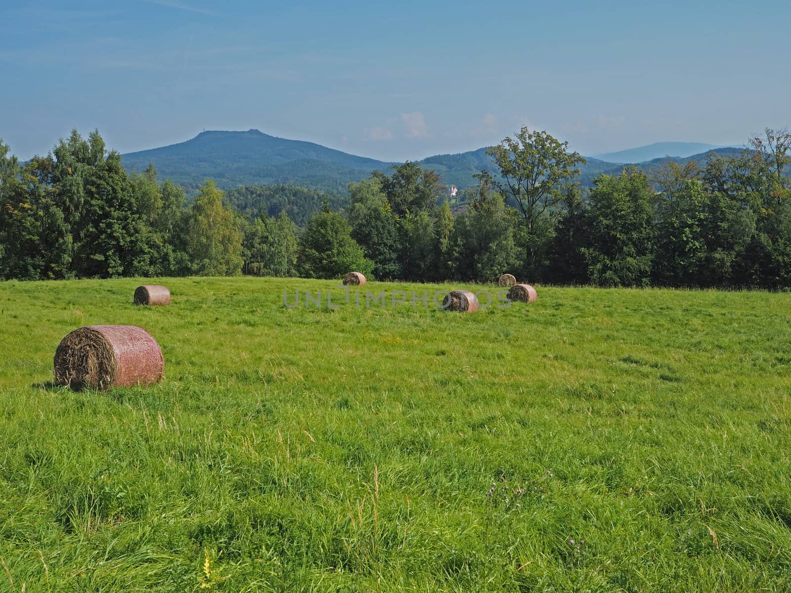 straw bale on green grass meadow with tree, hills and blue sky - summer idyllic landscape