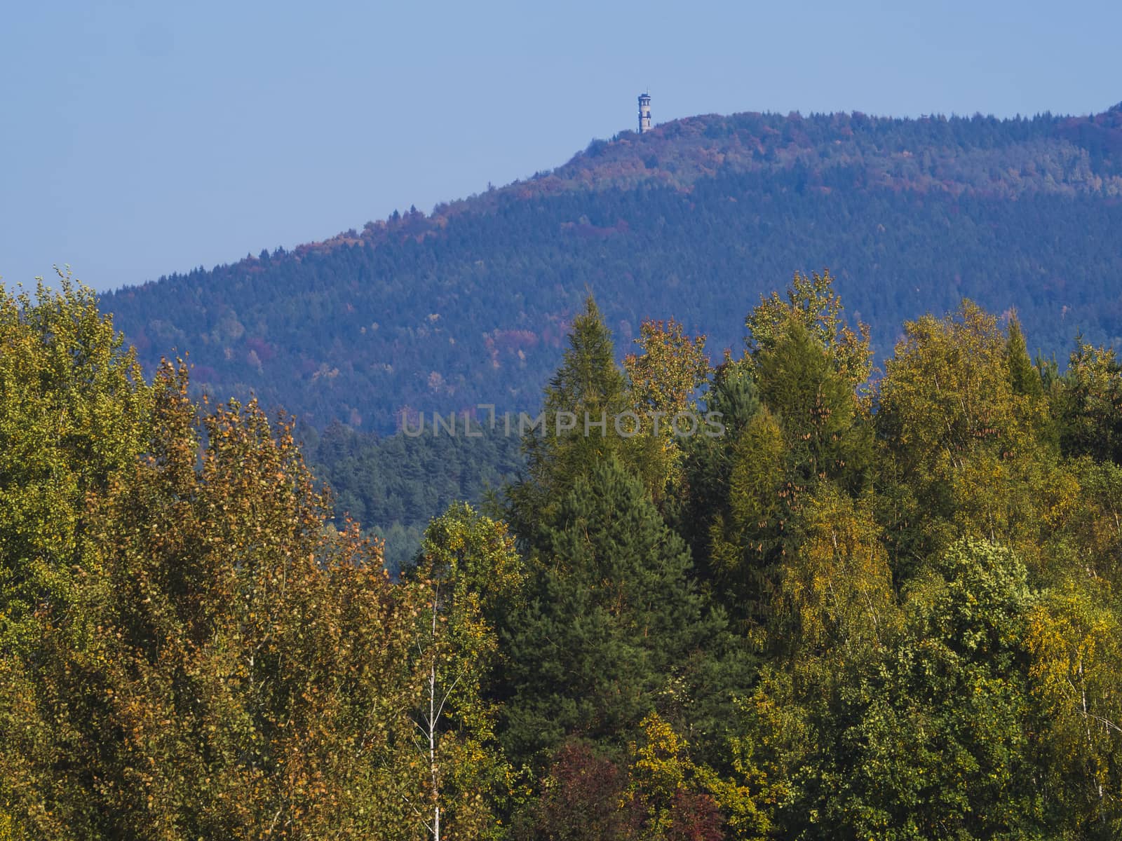 meadow with autumn colorful forest and trees and hills with Hvozd or Hochwald lookout tower and blue sky landscape in luzicke hory mountain by Henkeova