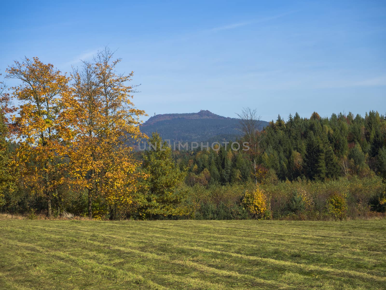 meadow with autumn colorful forest and trees and hills with lookout tower and blue sky landscape in luzicke hory mountain