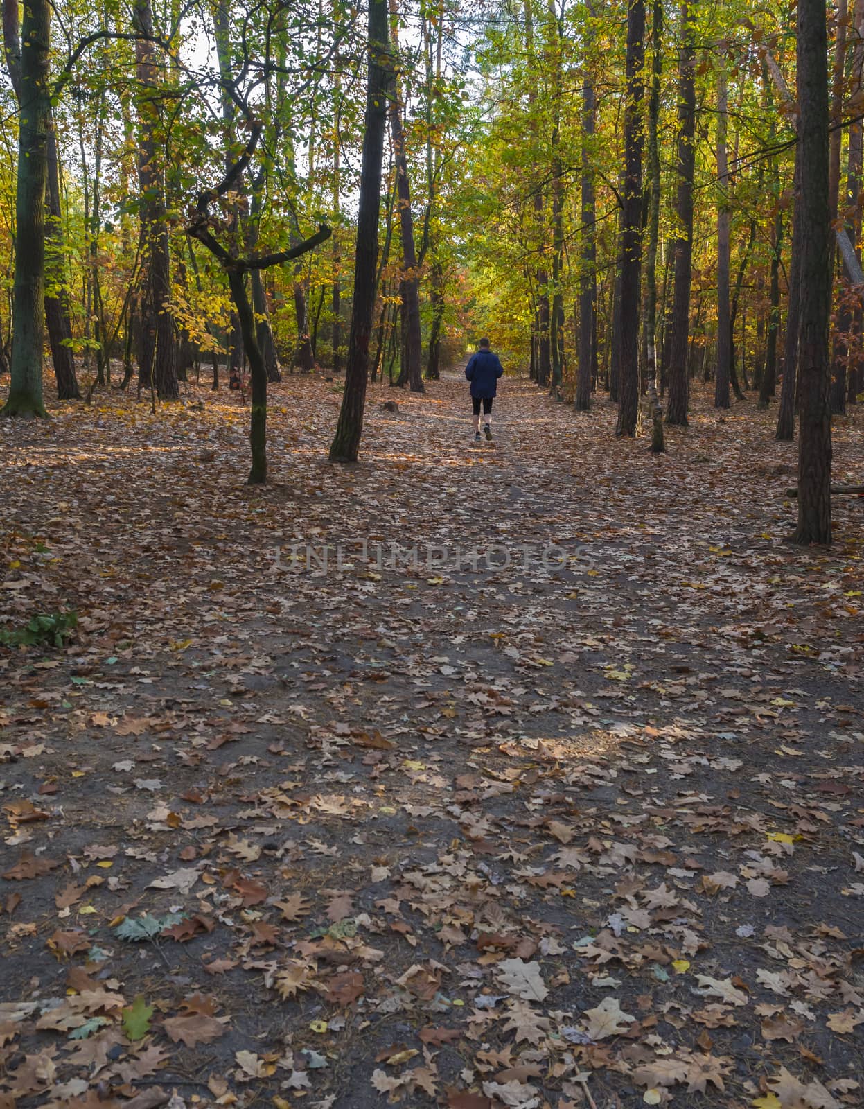 running man in blue jacket on forest road in autumn by Henkeova