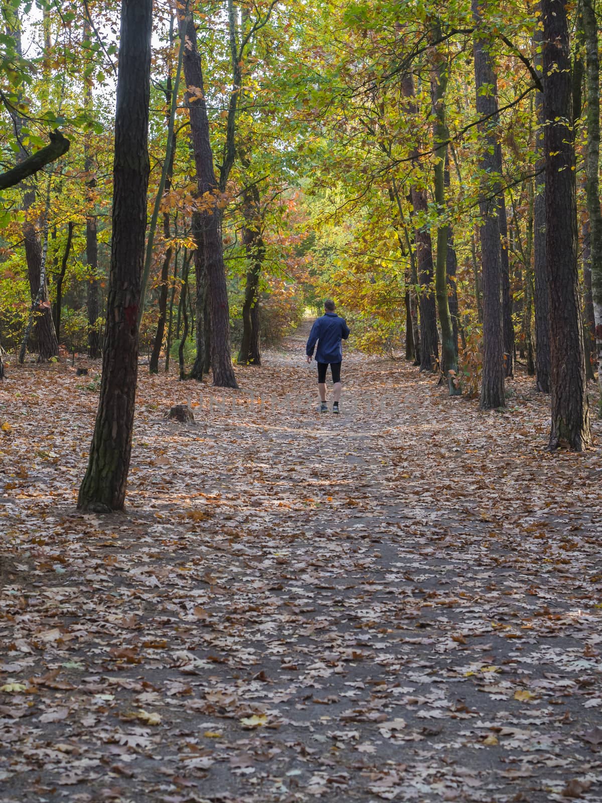 running man in blue jacket on forest road in autumn by Henkeova