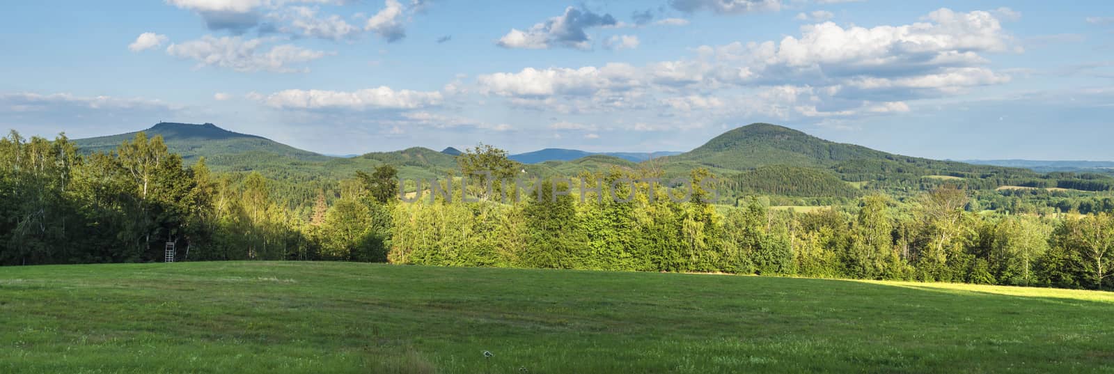 idyllic summer panoramic landscape in lucitian mountains, with lush green grass meadow, fresh deciduous and spruce tree forest, hills, blue sky white clouds background, horizontal, copy space.