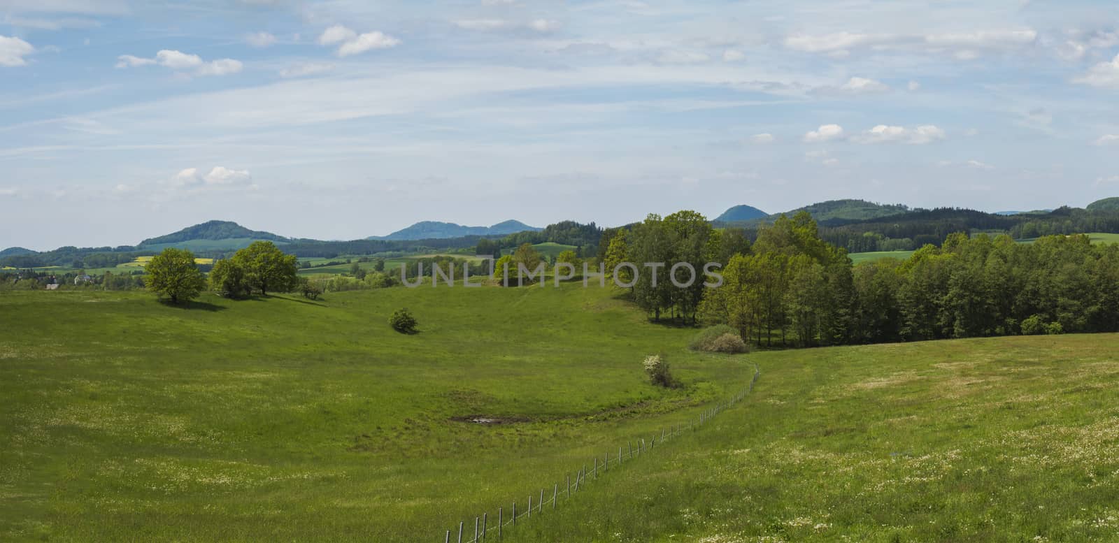 idyllic spring panoramic landscape in lucitian mountains, with lush green grass meadow, fresh deciduous and spruce tree forest, hills, blue sky white clouds background, horizontal, copy space.