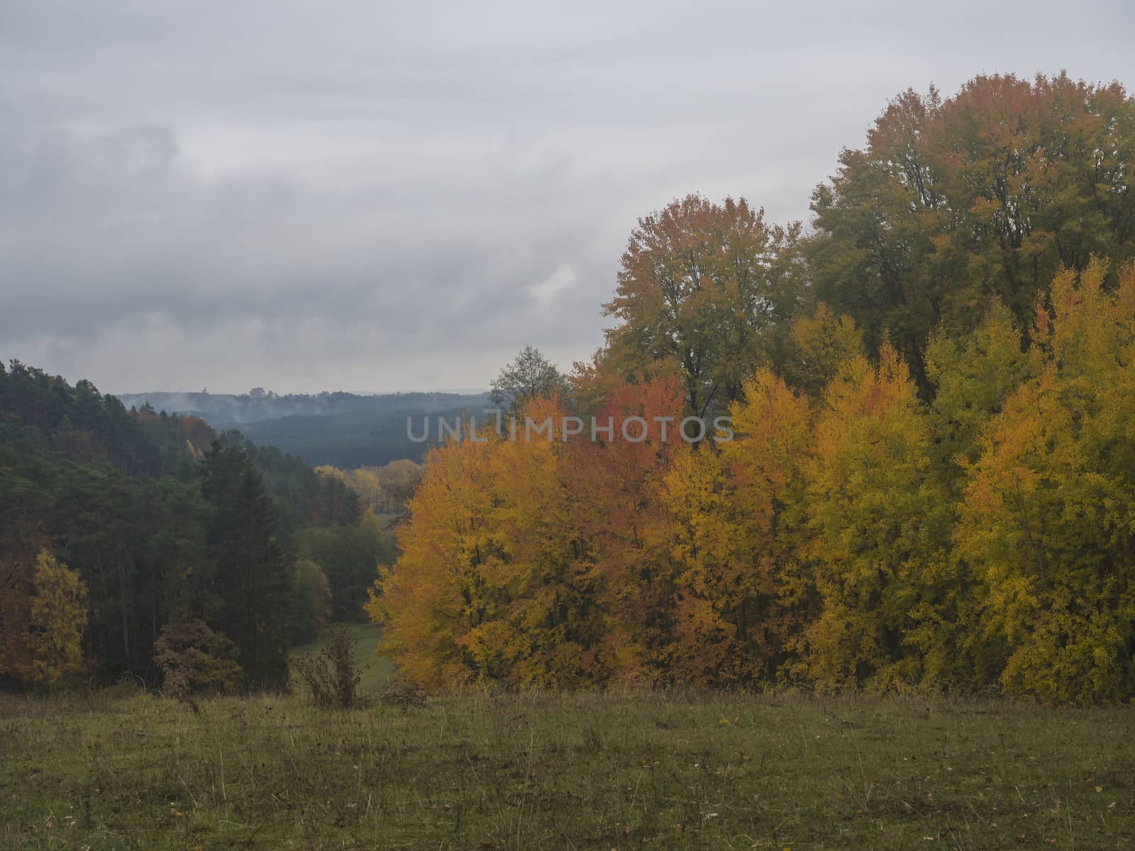 green meadow with autumn colorful beech forest and trees and hills in nature reserve Cesky Raj, moody blue sky.