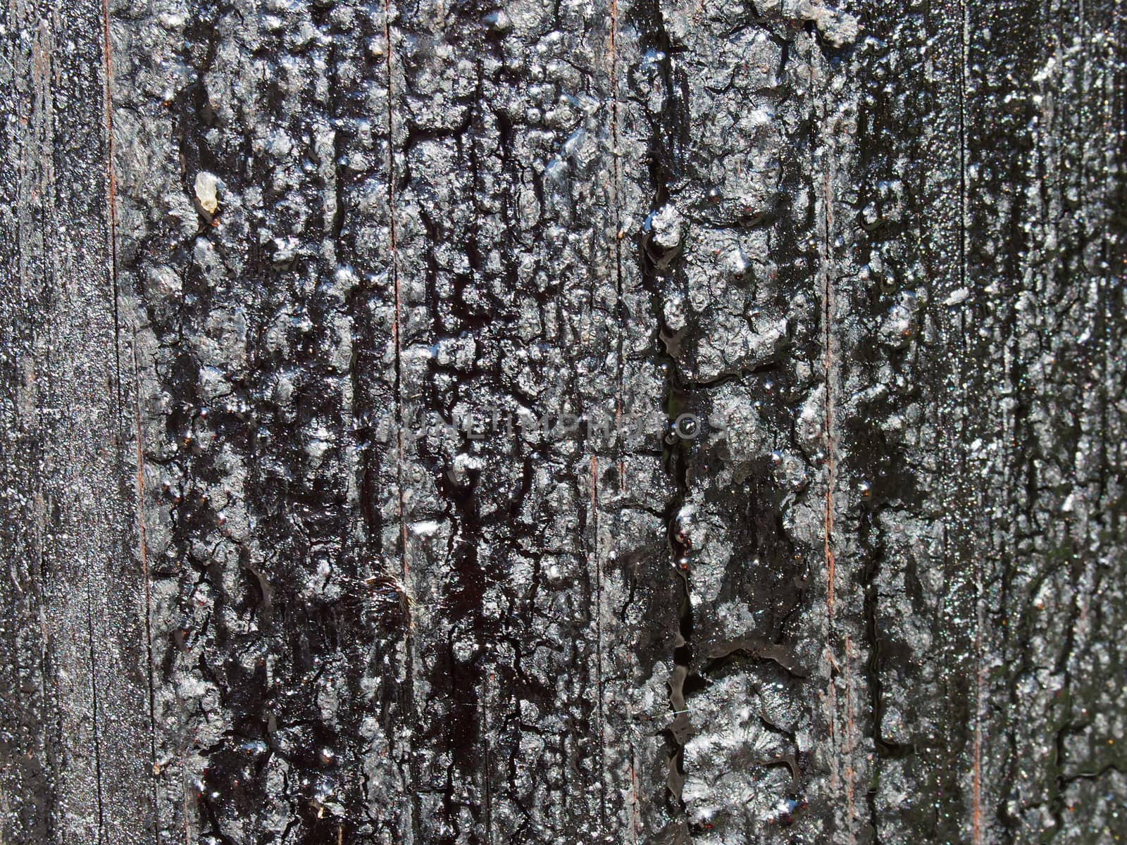 a black melting old bitumen preservative covered textured timber surface