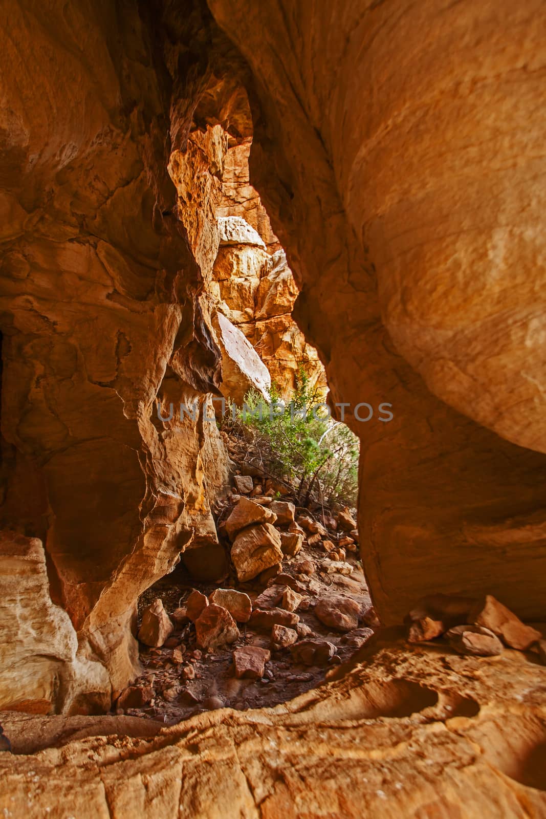 A scene of highly eroded sandstone formations in the Cederberg Wilderness Area, Western Cape. South Africa