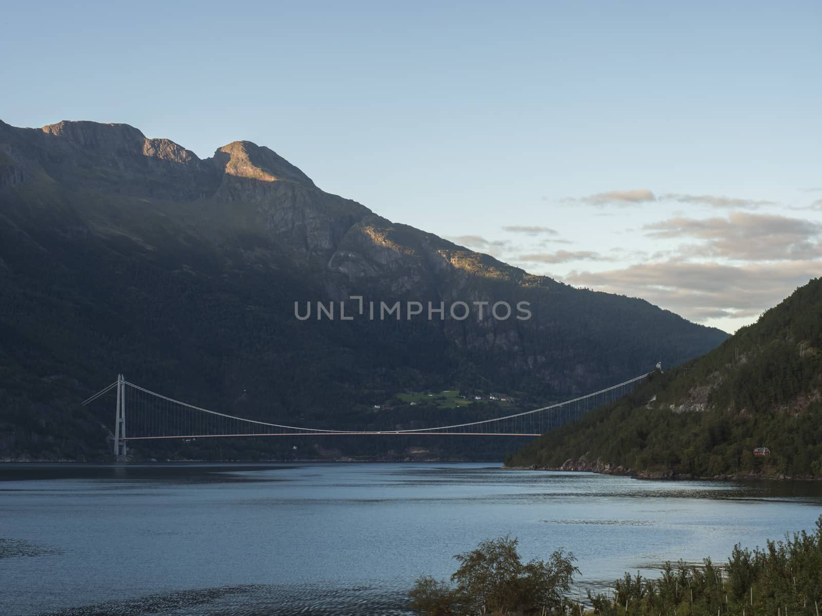 View on Hardanger Bridge across fjord Hardangerfjorden connects Ullensvang and Ulvikin, Norway. Longest tunnel to tunnel suspension bridge in the world 1380 meters. Summer day golden hour