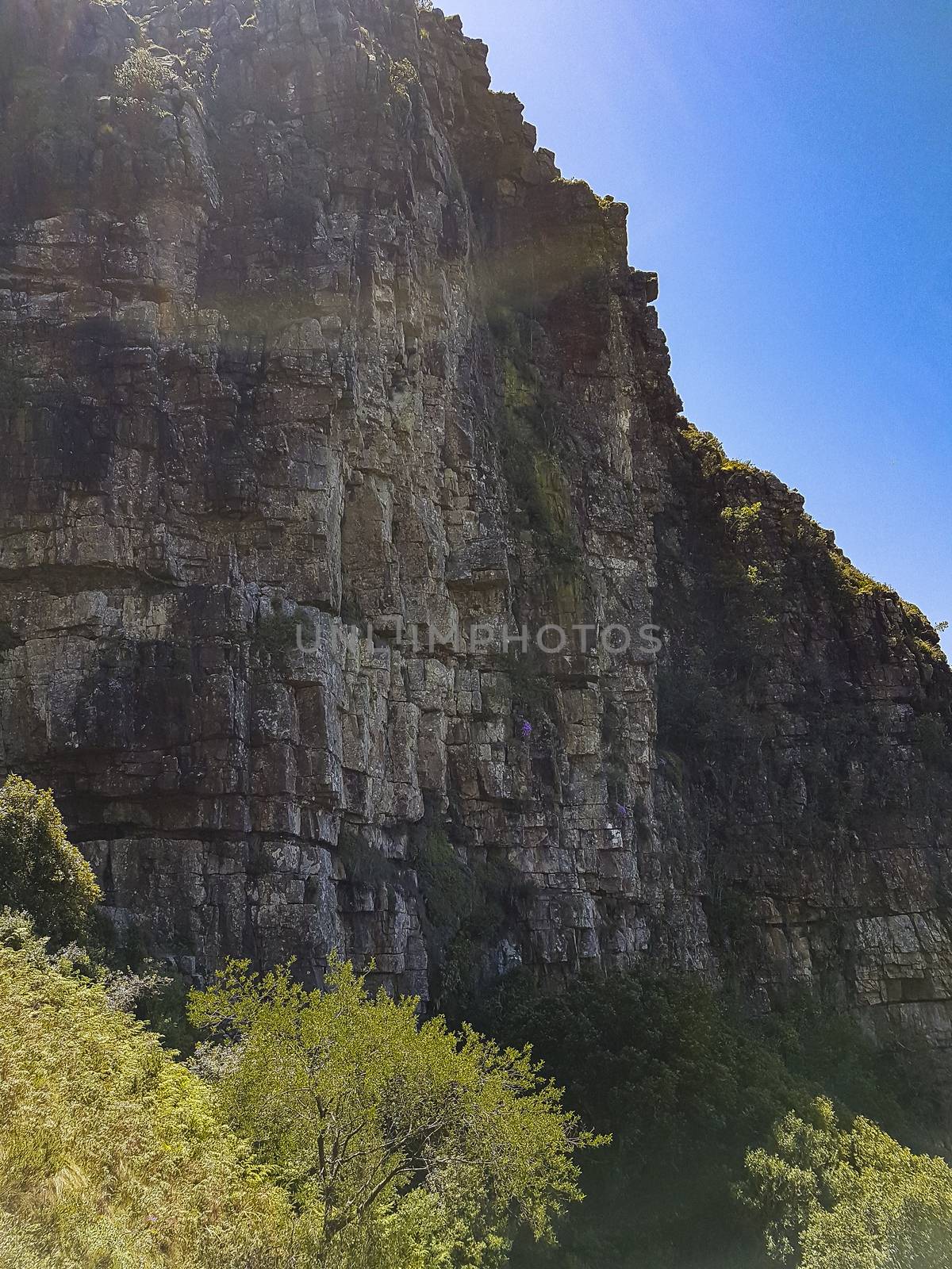 Cliffs and rocks in the Table Mountain National Park with sunshine in Cape Town in South Africa.