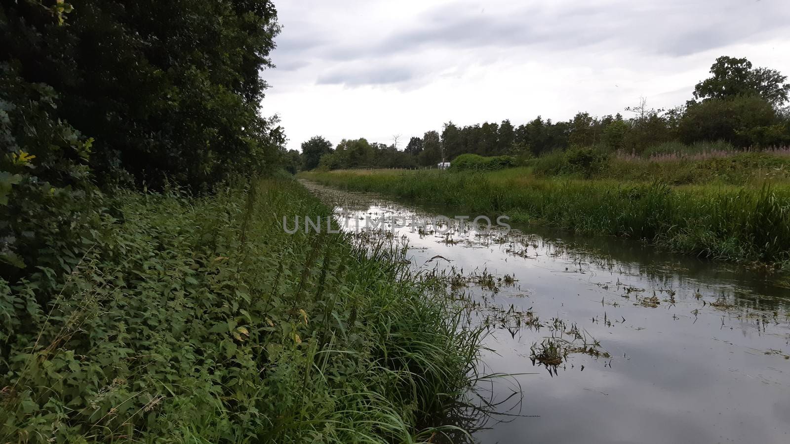 View on Kleine Nete river in Kempen, a region in Belgium. Nature and surrounding landscape.