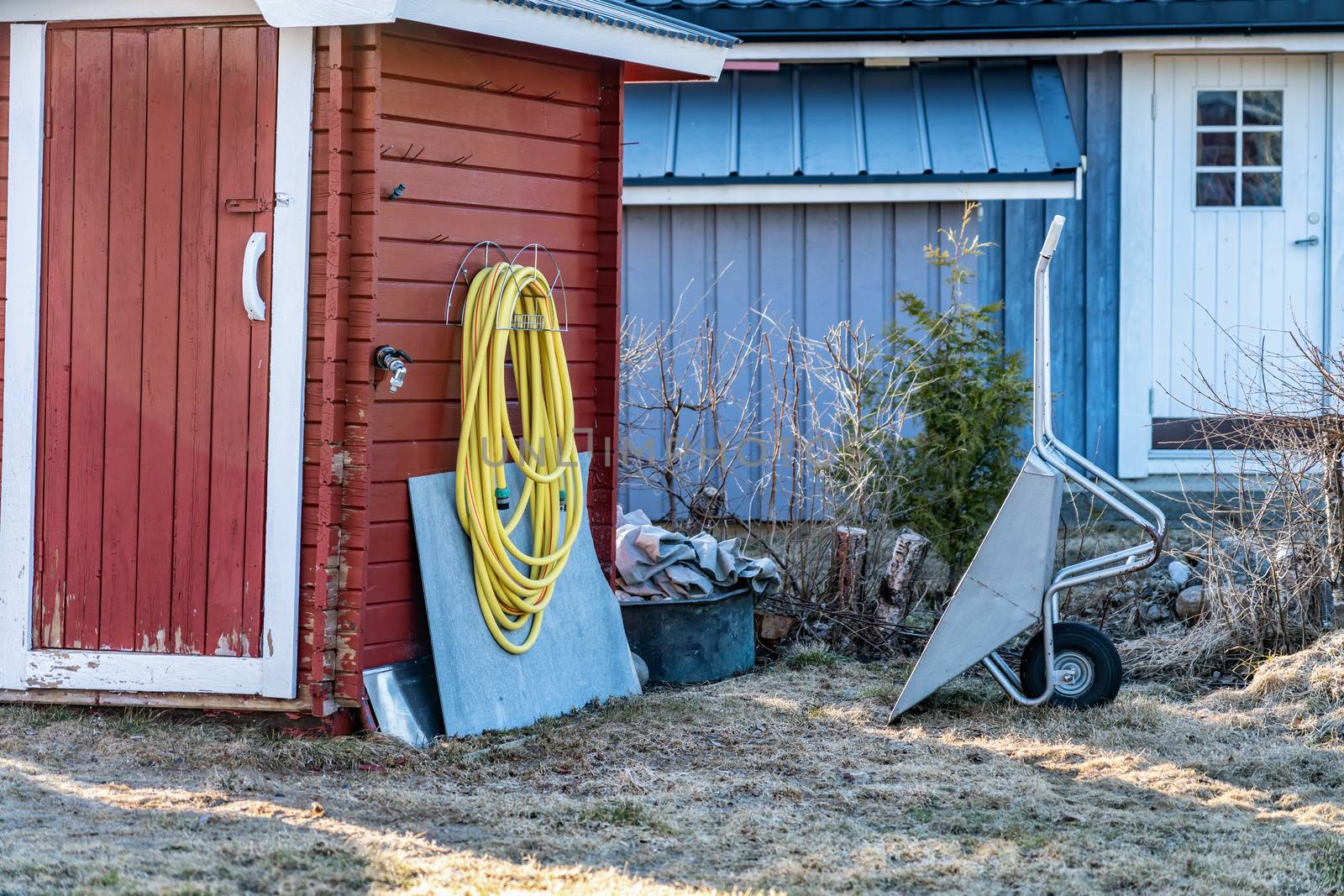 Yellow rubber watering tube for plants watering hangs on red wooden wall of traditional Swedish garden shed close to wall mounted water tap. Grey wheelbarrow stands up right on faded grass