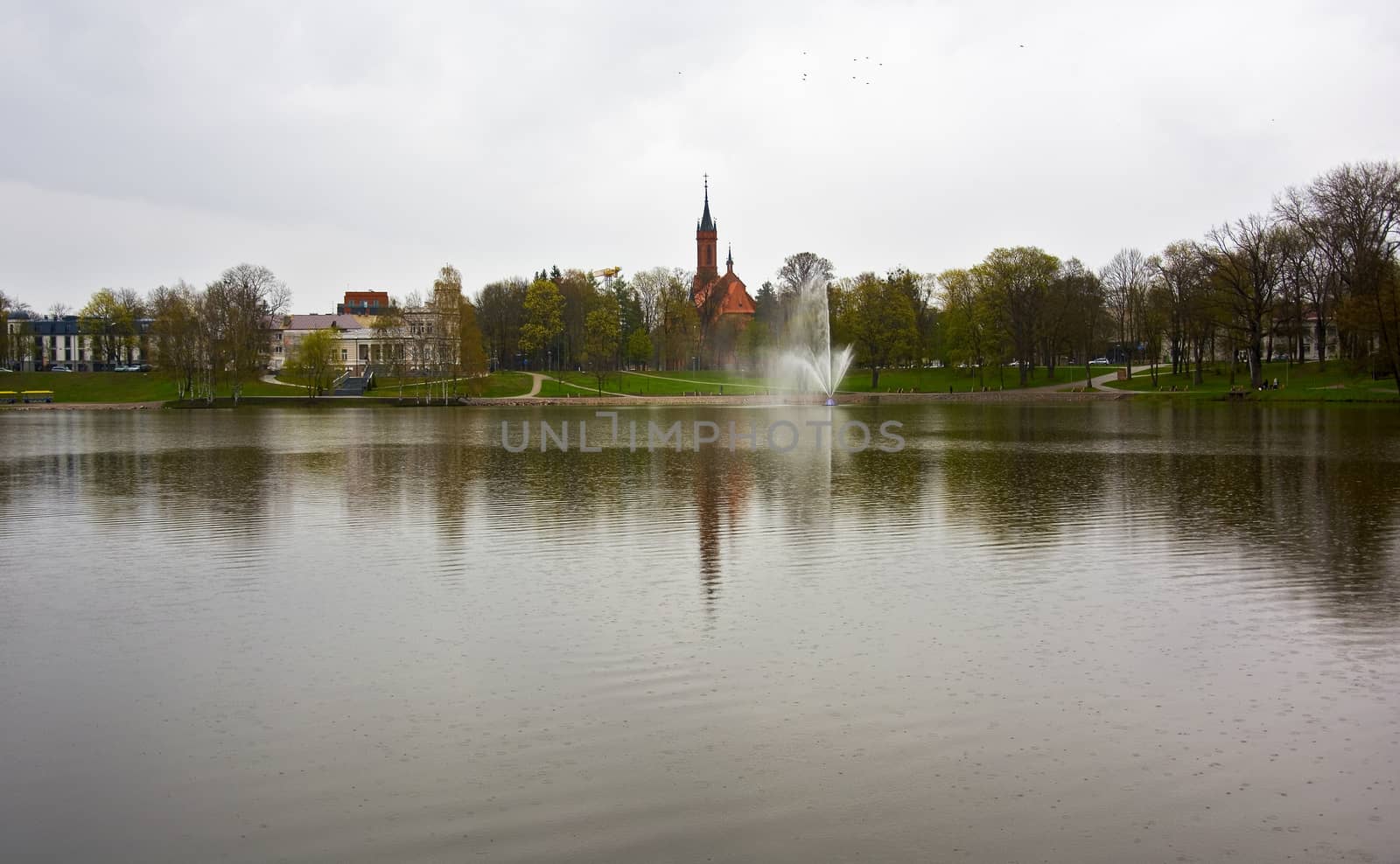 The photo was taken in the town of Druskininkai Lithuania in a rainy day