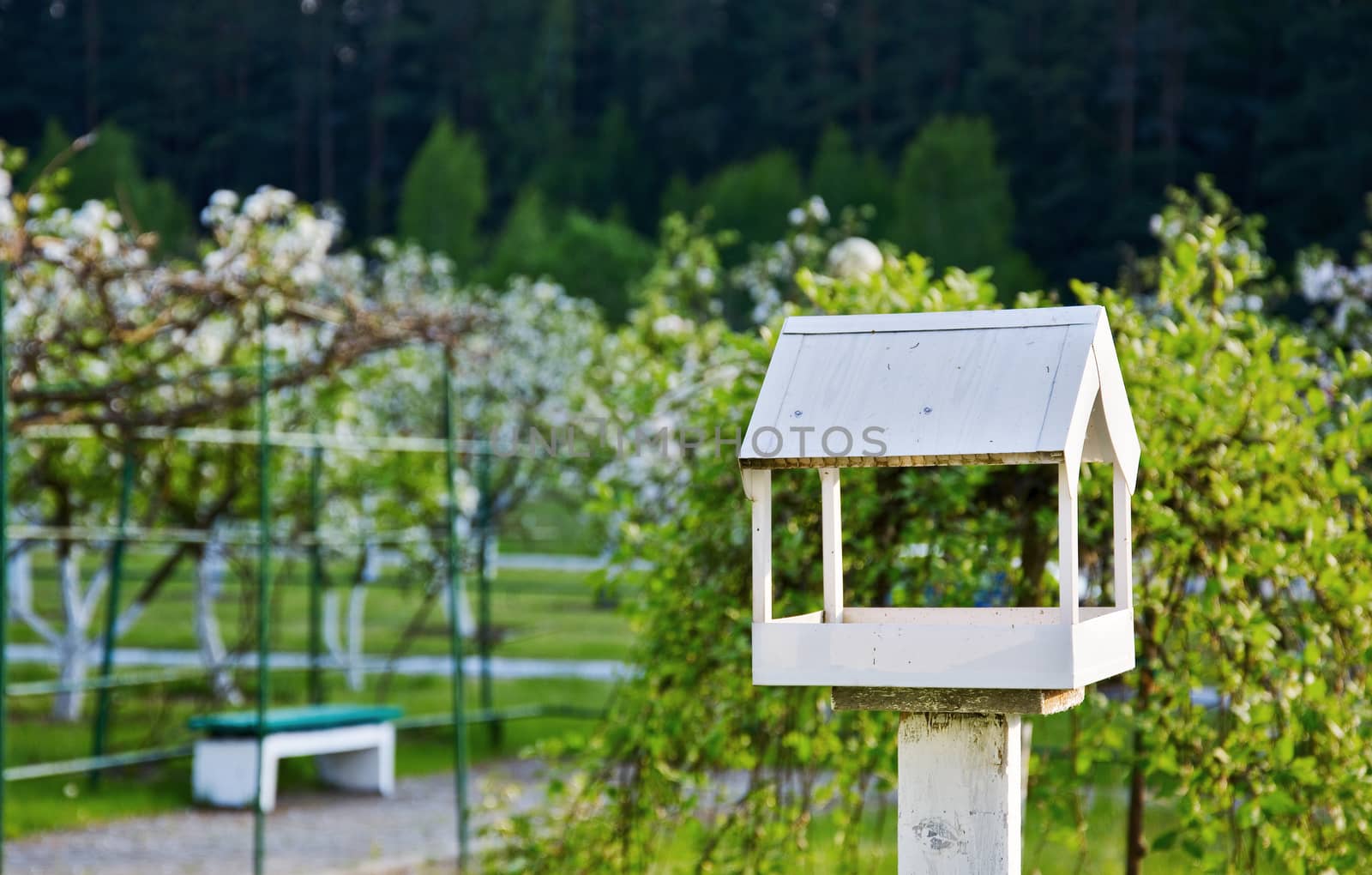 Feeders for birds white

