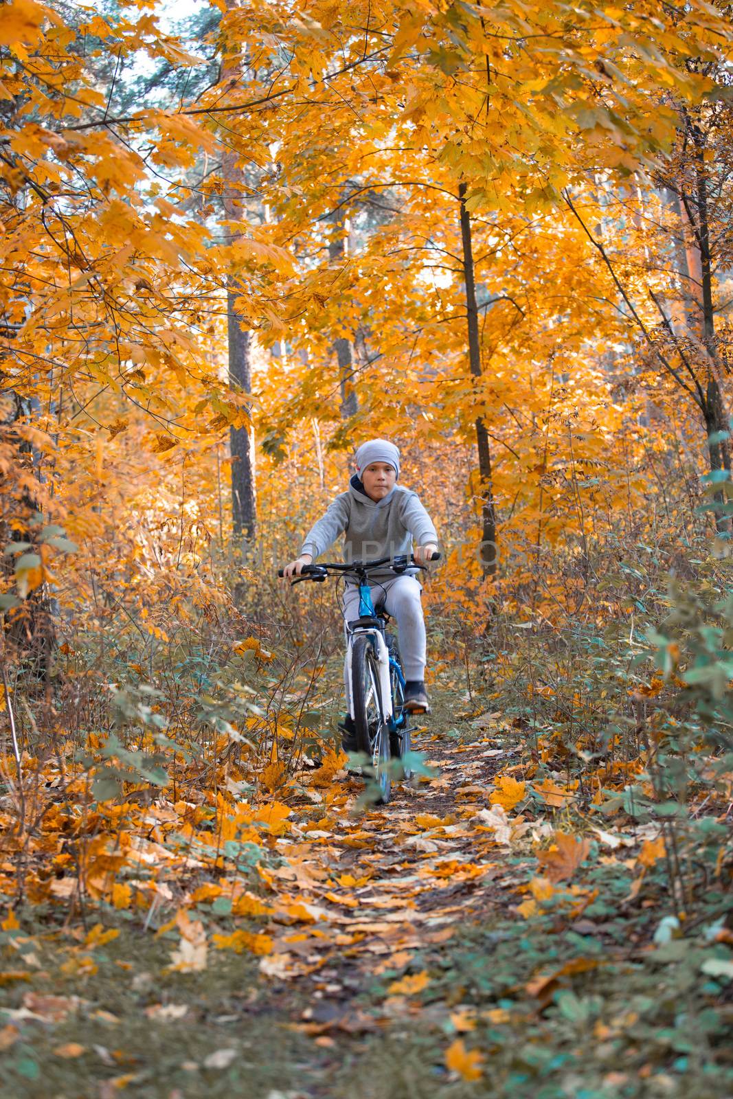 Boy riding bicycle in autumn orange maple tree park on a dirt road in the woods