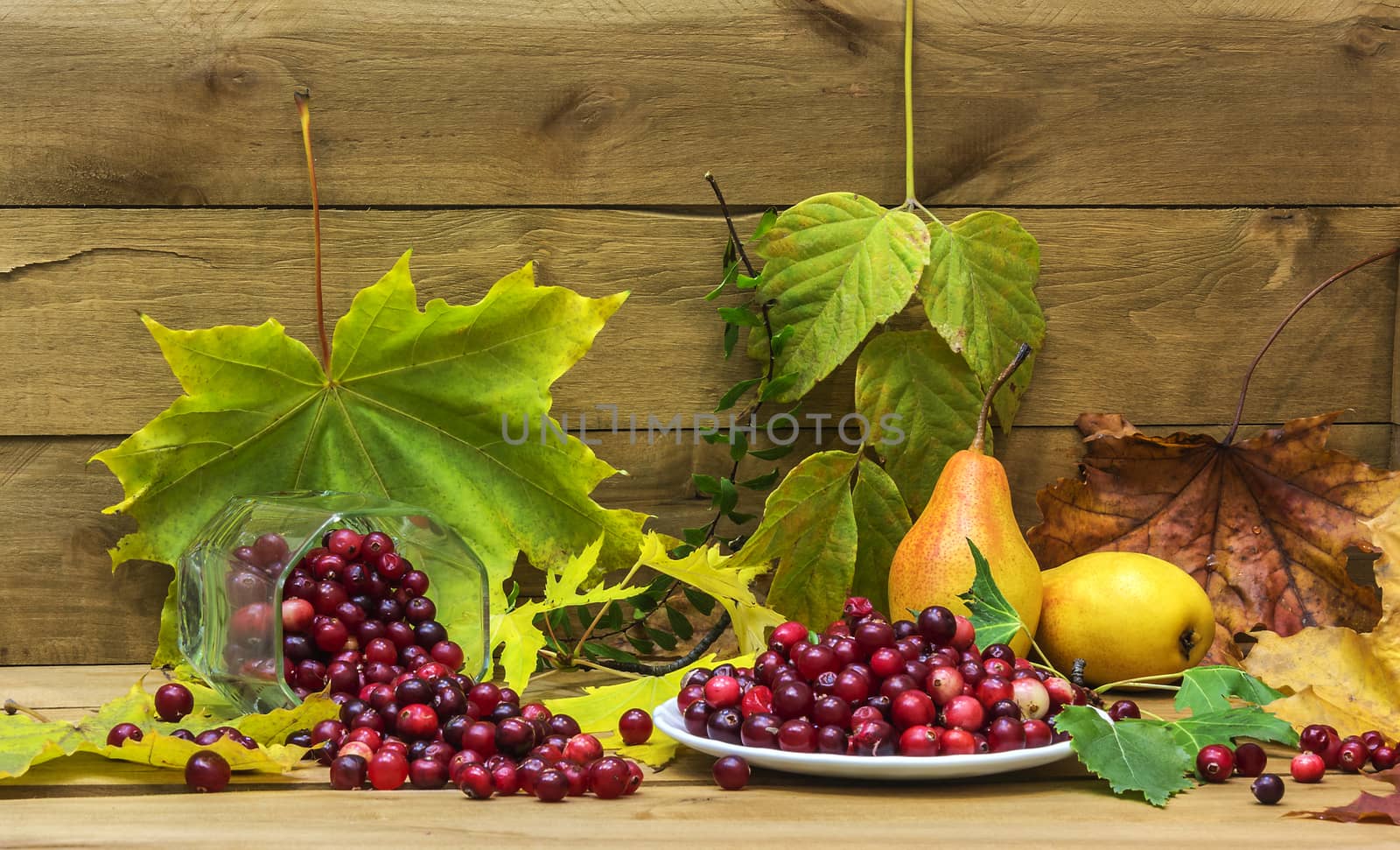 Against the background of a wooden surface surrounded by yellow autumn leaves lie pears and cranberries in a glass and fallen white saucer