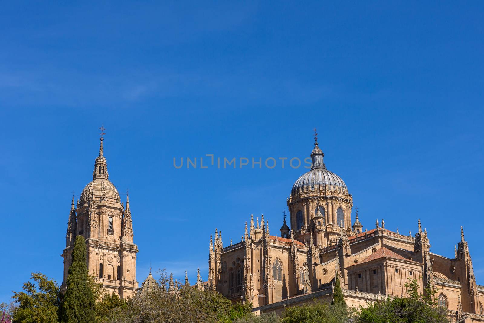 Salamanca Cathedral, Spain by zittto