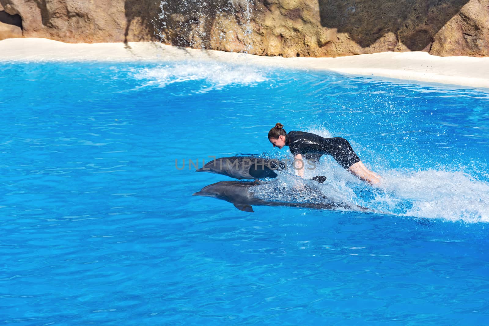 Dolphin show in the Loro Parque (Loro Parque), Tamer floats holding the fins of two dolphins, 13.09.2016, (Tenerife, Spain).