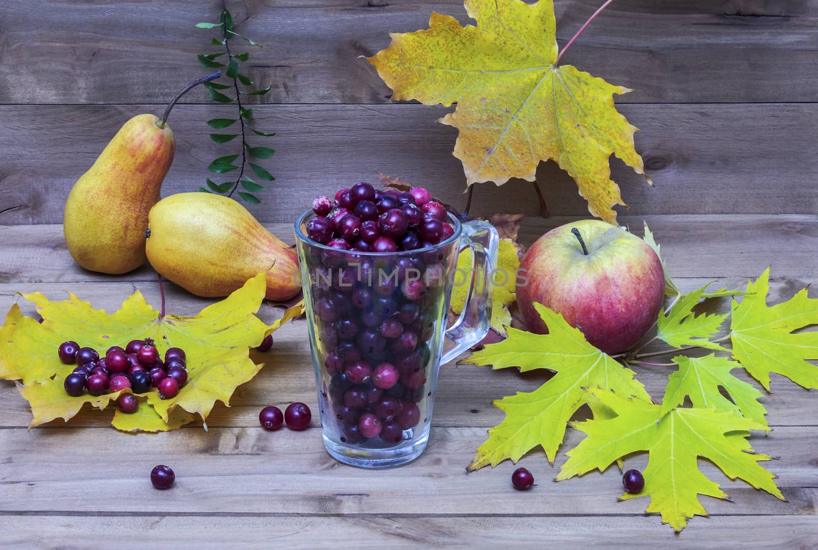 Autumn still life with fruit, cranberries in a glass cup and aut by Grommik