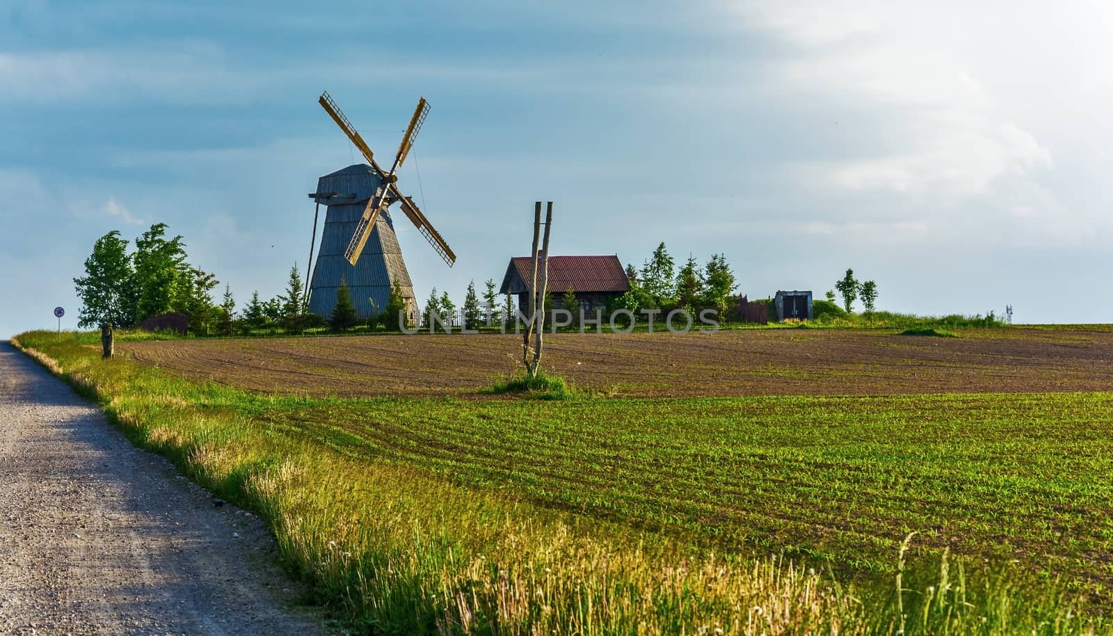 Lonely windmill and farmhouse stands among a field by Grommik