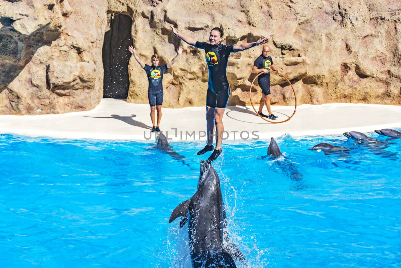 Dolphin show in the Loro Parque (Loro Parque), pushed out of the water dolphin tamer, 13.09.2016, (Tenerife, Spain).