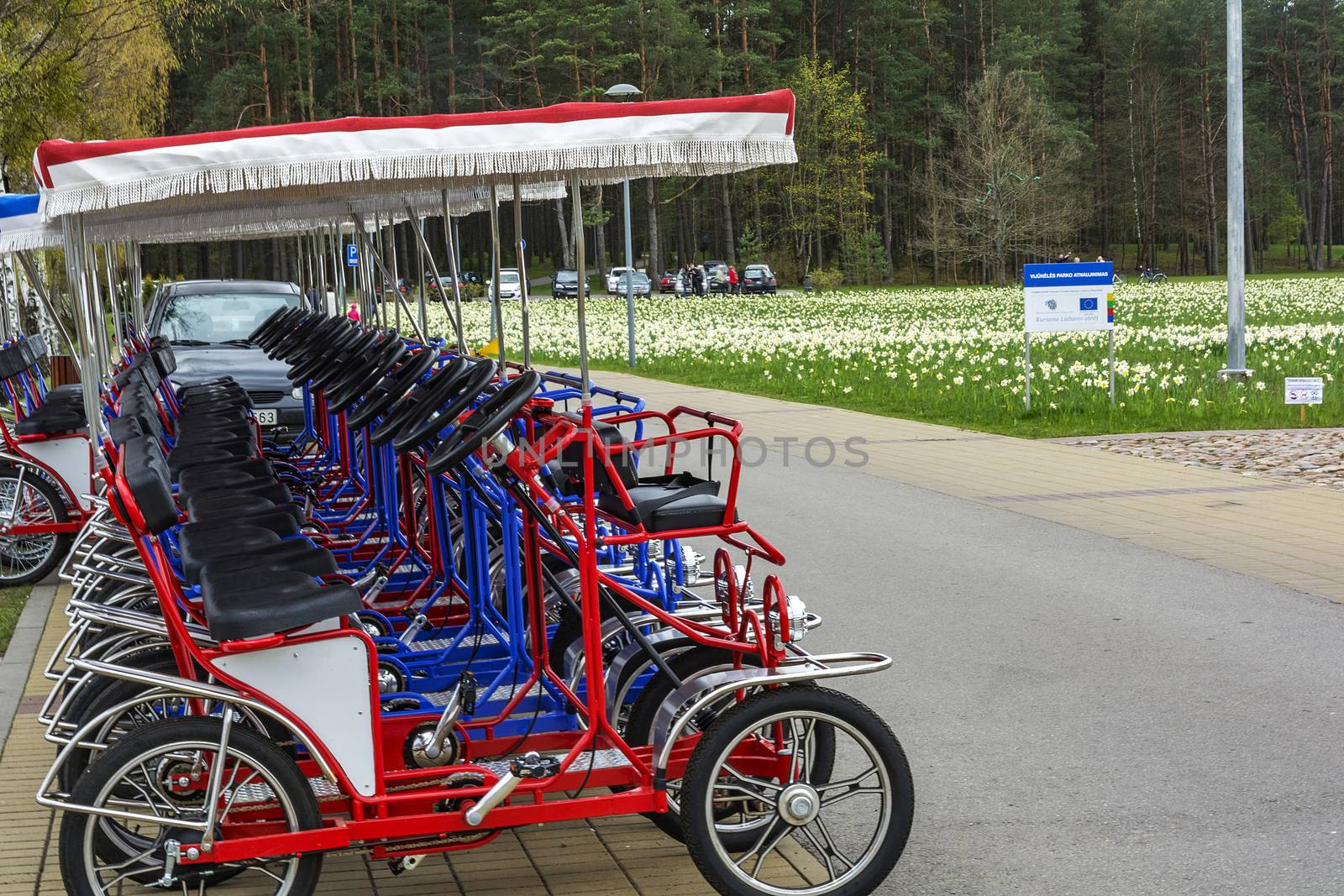 Bicycles for excursion trips by Grommik