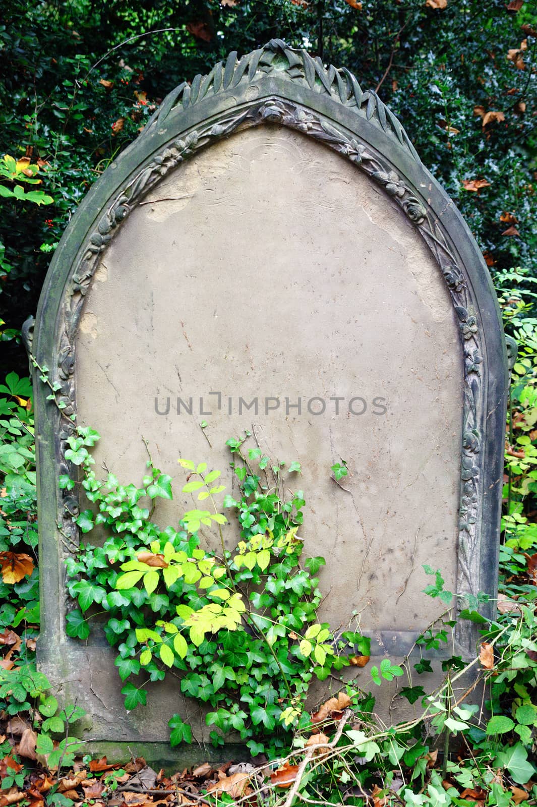 Blank tombstone grave of a recent funeral burial in an old cemetery with copy space for Halloween gravestone horror death backgrounds stock photo