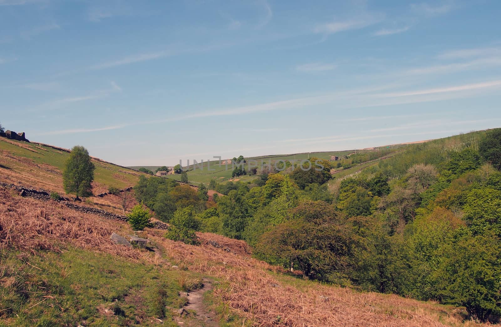 a view of green spring forest canopy in hardcastle crags west yorkshire from moorland above with sunlit blue sky