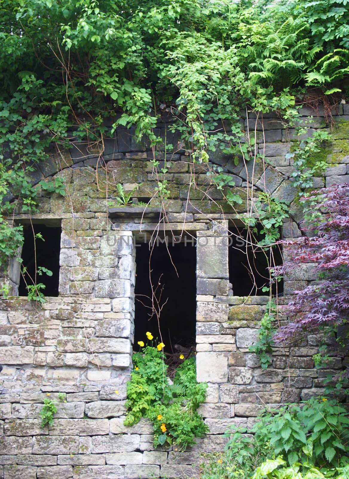 the facade of an abandoned stone rural house with empty windows and doorway overgrown with colorful weeds ivy and wildflowers