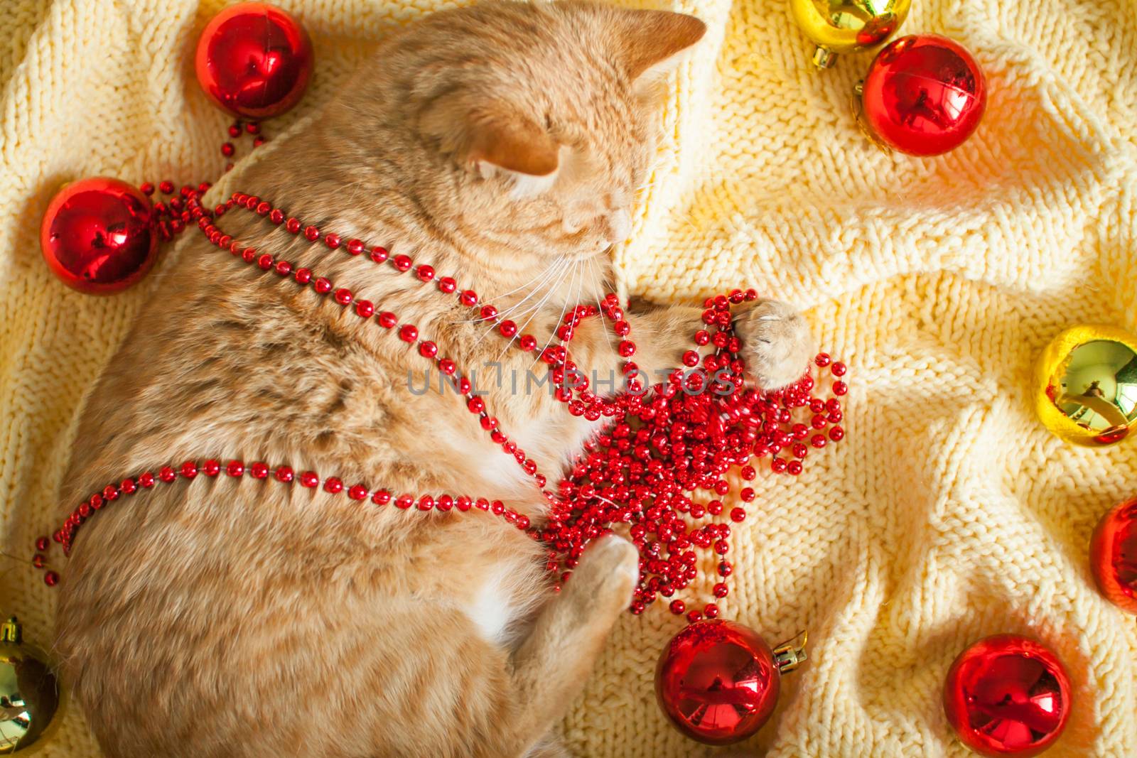 A fat lazy ginger cat lies on a knitted yellow blanket with New Year's toys: gold and red balls. New Year card.