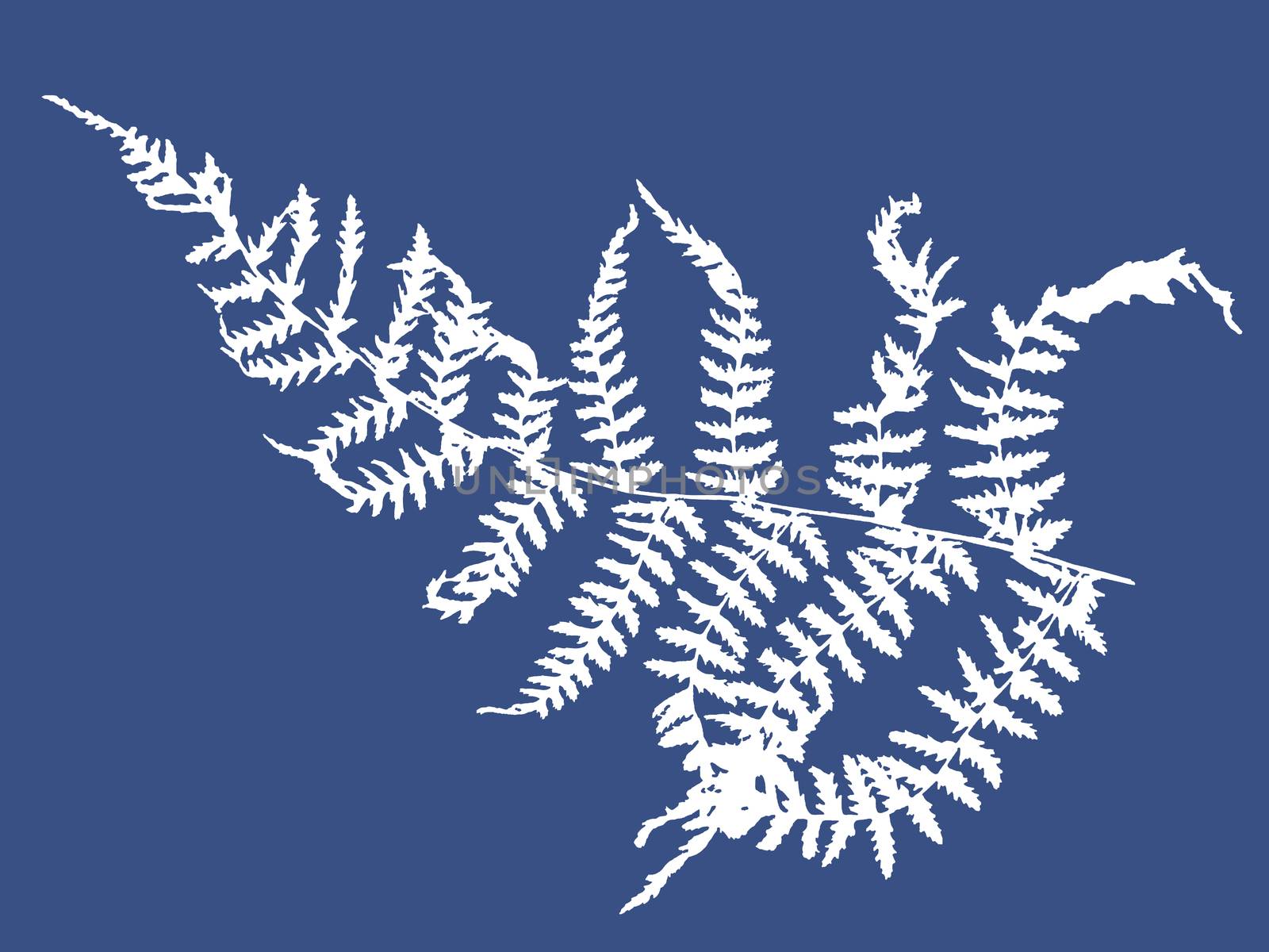 a white outline silhouette of a fern on a blue background